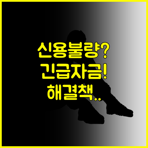 벼랑 끝에 선 당신에게, 신용불량자 대출의 해답 #긴급자금 #생활자금