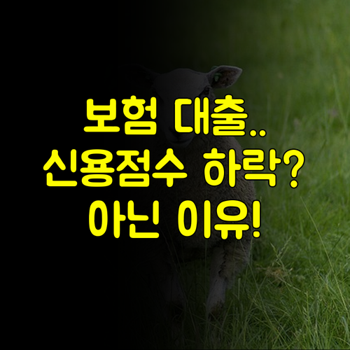 보험사 대출은 왜 신용점수 하락이 없을까? #신용점수 #보험계약대출