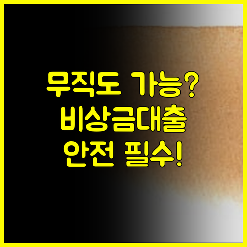 소득 증빙 없이 가능한 비상금대출, 안전하게 이용하는 법 #안전수칙 #금융상식