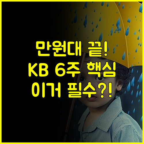 만원대 가성비 KB 다이렉트 운전자보험 6주 미만 사고 보장 특약 총정리