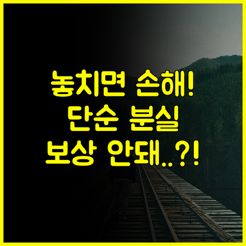 여행자보험 휴대품 단순 분실 보상 안됨 삼성화재 다이렉트 핵심 요약