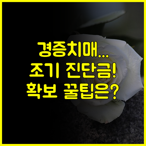 경증치매 골든타임 놓치지 않는 조기 진단금 확보법과 중요성