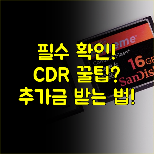 CDR 척도별 추가 지급 구조 치매 단계별 진단금 완벽 분석 가이드