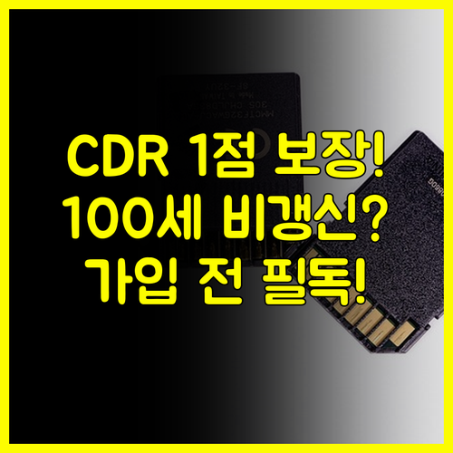 흥국화재 다이렉트 치매보험 CDR 1점 보장과 100세 비갱신 플랜 분석