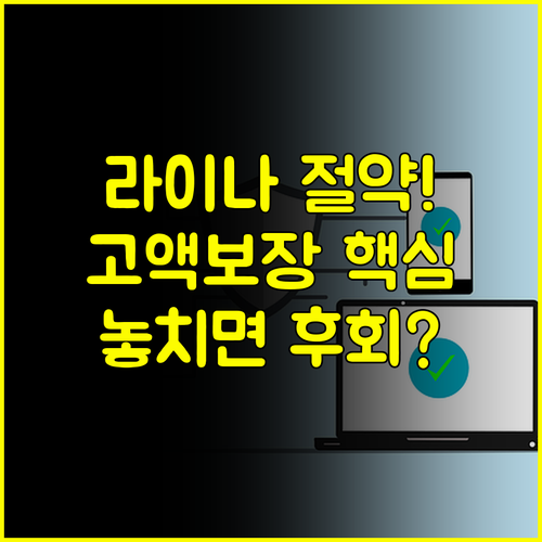 라이나 다이렉트 정기보험 실속 있게 고액 보장 설계하는 방법