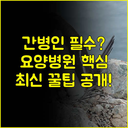 메리츠 다이렉트 간병인보험 요양병원 보장까지 실속있게 챙기는 방법